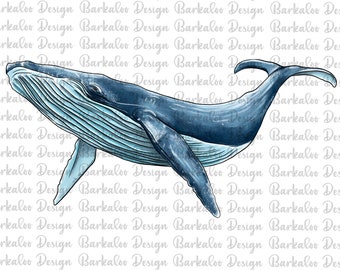 Megattera png sublimazione design, balena disegnata a mano png, ritratto di balena png, clipart di balena, animali marini png, download digitale