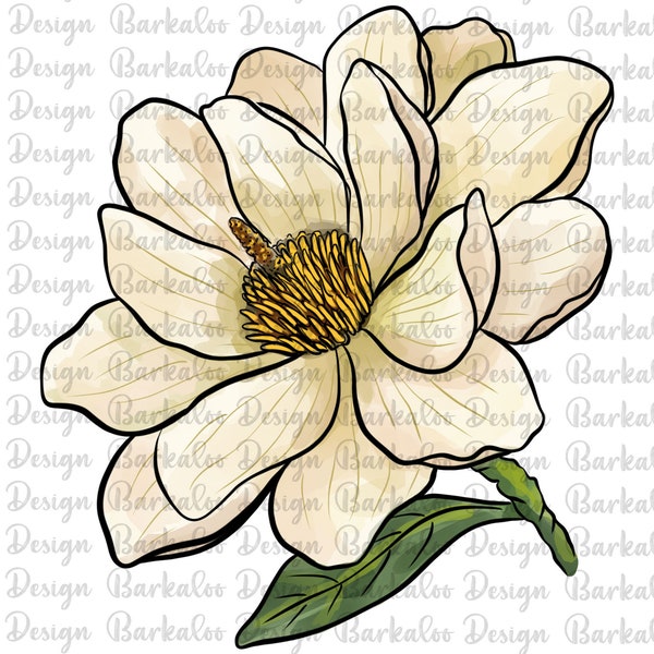 Magnolia Design Png, Hand Drawn Magnolia Png, Magnolia Clipart Png, Hand Drawn Floral Png, Magnolia Png Digital Downloads