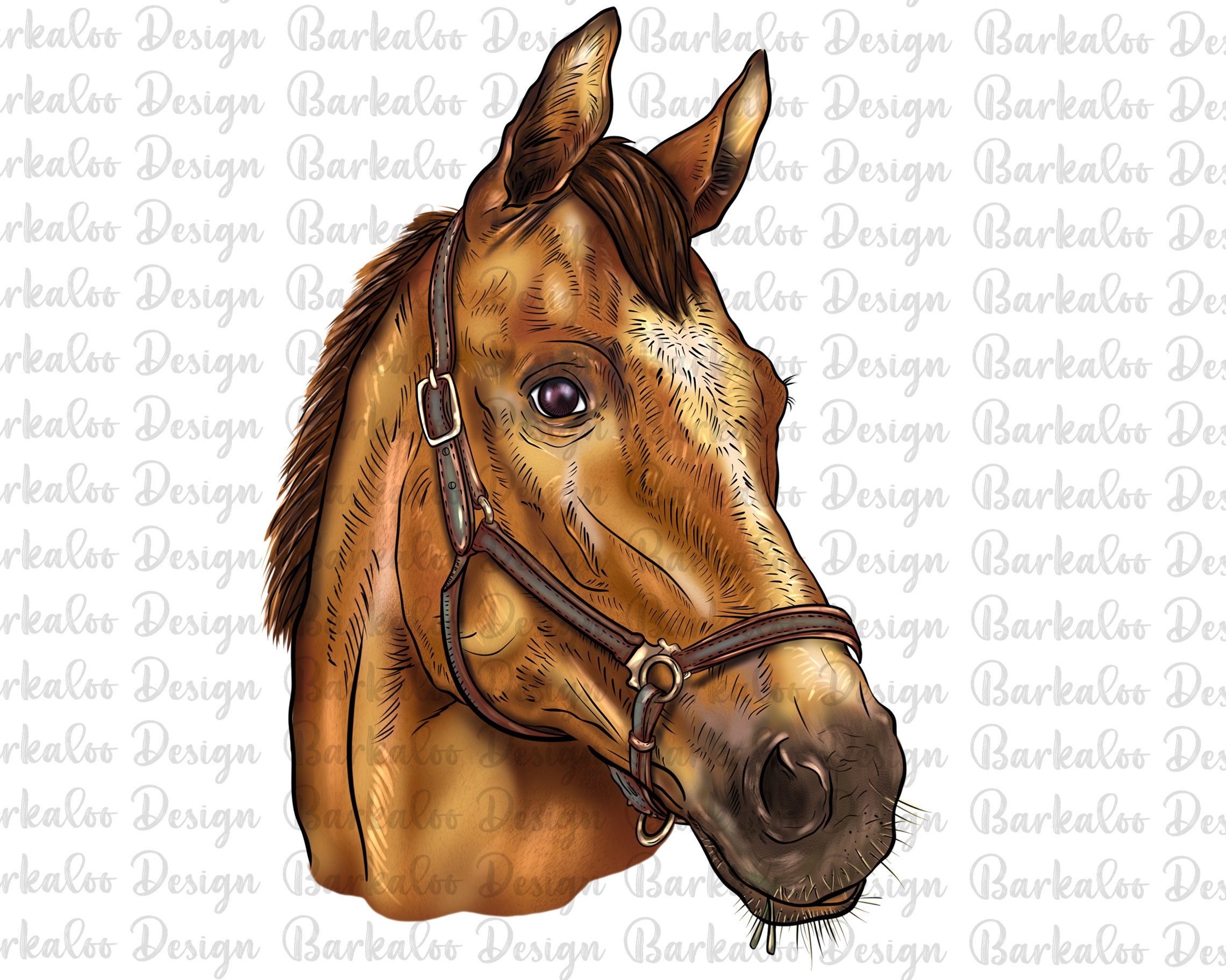 Hand Drawing Horse PNG Sublimation Design, Horse Png,Horse Clipart,Horse Portrait PNG,Farm Animals Png,Barnyard Animals Png Design Downloads