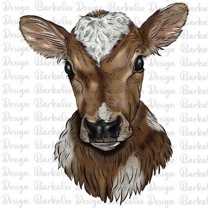 Hand Drawing Brown Baby Cow PNG Sublimation Design, Calf Png, Baby Cow Png,Heifer PNG,Farm Animals Png,Barnyard Animals Png Design Downloads