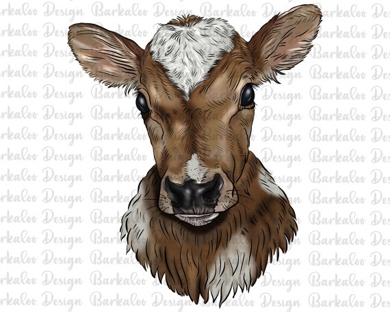 cow sketch png free PNG & clipart images | Citypng