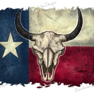 May include: A distressed, vintage-style Texas flag with a white star and a bull skull in the center. The flag is faded and has a grunge effect.