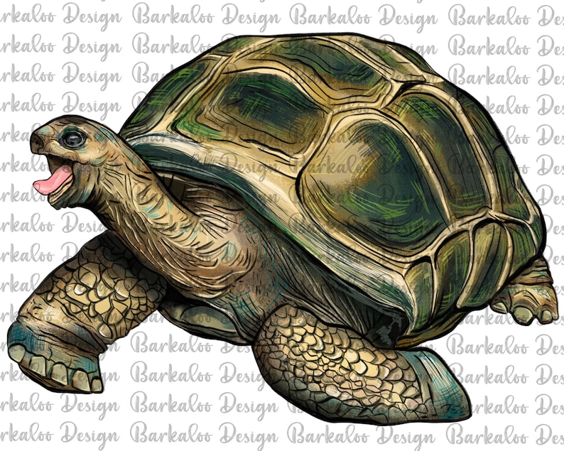 May include: A detailed illustration of a tortoise with a green and brown shell, walking with its mouth open and tongue sticking out.