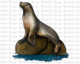California Sea Lion Png Sublimation Design, Sea Lion Png, Hand Drawn Sea Lion Png, Sea Lion Portrait Png, Seal Png, Digital Download