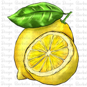 Lemon Png, Lemon Sublimation PNG Design, Hand Drawn Lemon, Lemon Clipart, Lemon Png Design Download