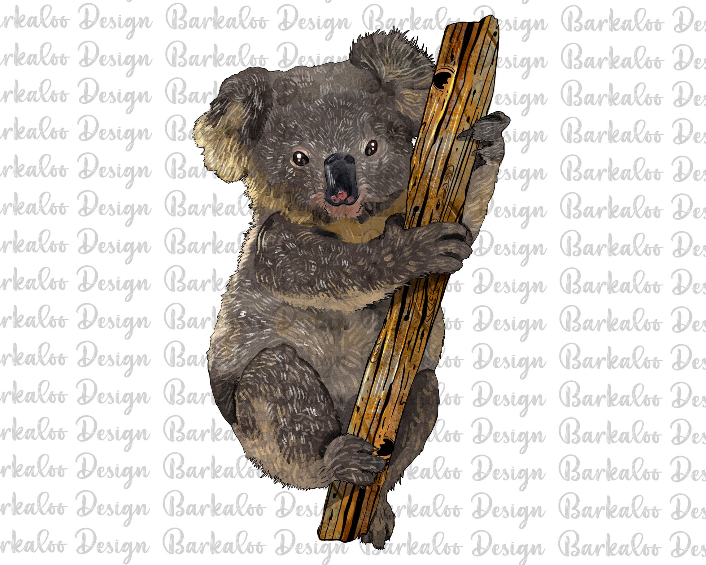 コアラ PNG 昇華デザイン、手描きコアラ PNG、コアラ ポートレート PNG