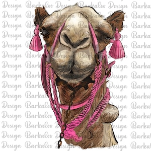 Camel Png Sublimation Design, Camel Portrait Png, Hand Drawn Camel Png, Camel Clipart, Animal Design Png, Digital Download