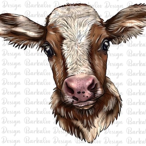Hand Drawing Heifer Calf PNG Sublimation Design, Calf Png, Baby Cow Png, Heifer PNG, Farm Animals Png, Barnyard Animals Png Design Downloads
