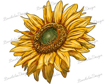 Sunflower PNG Sublimation Design, Sunflower Png, Sunflower Clipart, Sunflower Sublimation, Sunflower, Western Sunflower Png,Digital Download