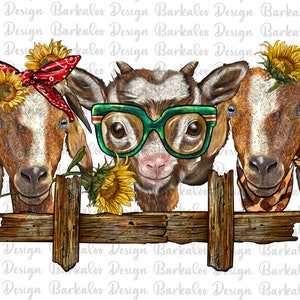 Western Goats Png Sublimation Design, Capra Png, Capra Clipart, Girasoli Capre Png, Capre disegnate a mano Png, Animale Png, Download digitale