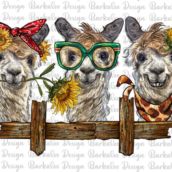 3 Alpacas With Wooden Bench Png Sublimation Design, Alpacas Png, Animal Design Png, Farm Animals Png, Alpacas Clipart, Digital Download