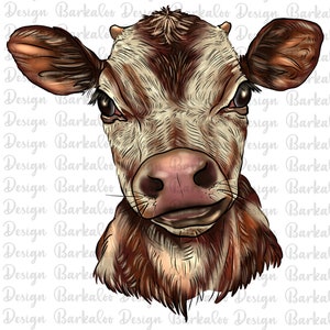 Hand Drawing Brown Heifer Calf PNG Sublimation Design, Calf Png, Heifer PNG, Farm Animals Png, Barnyard Animals Png, Digital Download