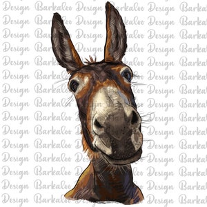 Donkey Png Sublimation Design, Donkey Portrait Png, Hand Drawn Donkey Png, Donkey Clipart, Animal Design Png, Digital Download