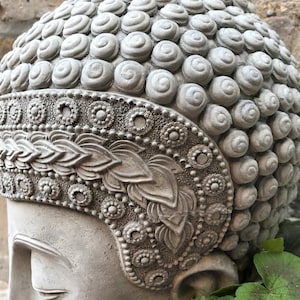 May include: A gray concrete Buddha head planter with intricate details and a floral design. The planter is partially filled with green plants.