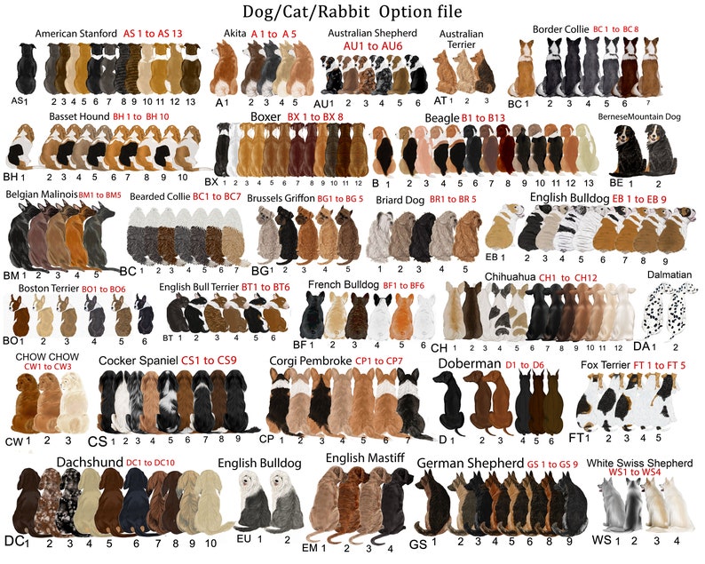 May include: A chart featuring illustrations of various dog breeds, including the American Stanford, Akita, Australian Shepherd, Australian Terrier, Border Collie, Basset Hound, Boxer, Beagle, Bernese Mountain Dog, Belgian Malinois, Bearded Collie, Brussels Griffon, Briard Dog, English Bulldog, Chihuahua, Dalmatian, Boston Terrier, English Bull Terrier, French Bulldog, Chow Chow, Cocker Spaniel, Corgi Pembroke, Doberman, Fox Terrier, Dachshund, English Bulldog, English Mastiff, German Shepherd, White Swiss Shepherd. Each breed is labelled with a number range, for example, AS1 to AS13.