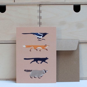 Tier Freunde - Elster Fuchs Katze Waschbär - Postkarte