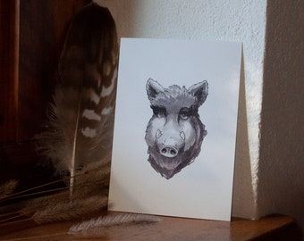 Wild Boar - Postcard