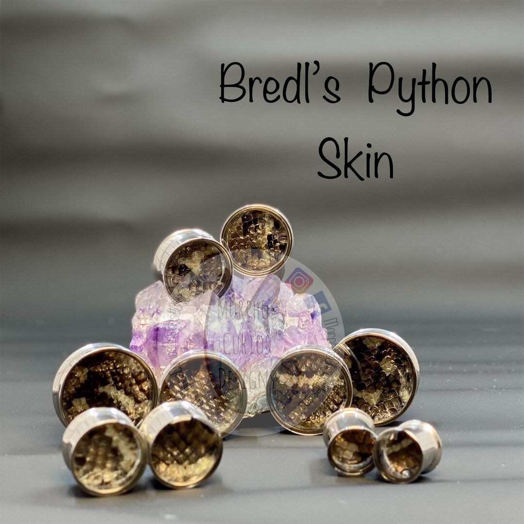 REAL SNAKE SKIN Bredls Python Gauges Plugs Tunnels Etsy