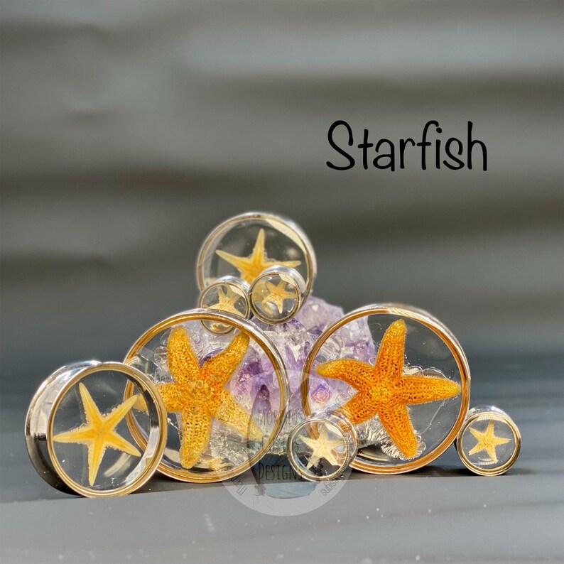 REAL Starfish Gauges Tunnels Plugs Etsy