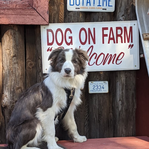 Vintage Miniature Brass Bathtub Soap Dish/ring Dish/doll House Tub