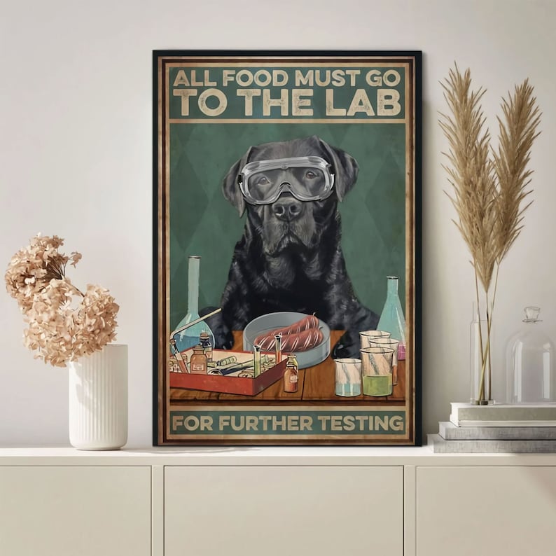 Pode incluir: Um p&ocirc;ster de estilo vintage com um Labrador Retriever preto usando &oacute;culos de seguran&ccedil;a e um jaleco de laborat&oacute;rio. O c&atilde;o est&aacute; sentado em uma mesa com v&aacute;rios b&eacute;queres, tubos de ensaio e outros equipamentos de laborat&oacute;rio. O texto no p&ocirc;ster diz "Todos os alimentos devem ir para o laborat&oacute;rio para testes adicionais."