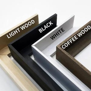 Milotic ex & Feebas Pokemon Card Frame | Extended Art Display image 7