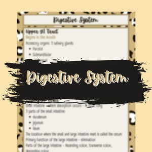 Puede incluir: Una ilustración gráfica en blanco y negro del sistema digestivo con el texto "Digestive System" en letras blancas en negrita. La ilustración está sobre un fondo beige con un patrón de estampado de leopardo.