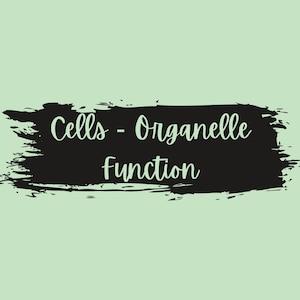 Cell Notes - Organelles & Their Function - AP Biology Level