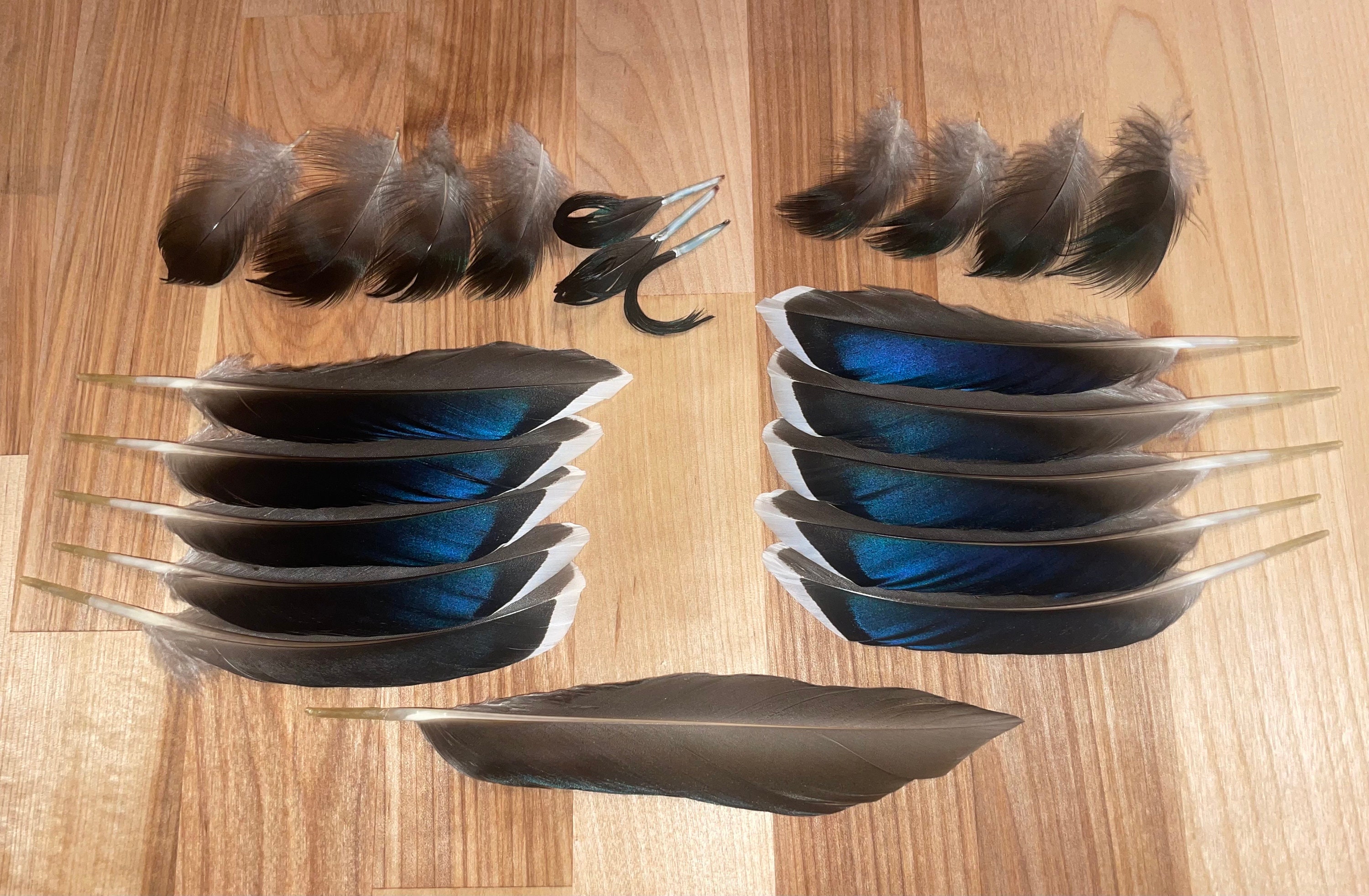 Feathers, Pheasant Feathers, Guinea Feathers, Duck Feathers, Goose