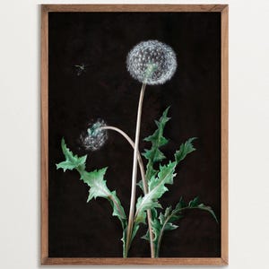 Dark Cottagecore Print, Dandelion Wall Art, Dark Botanical Print