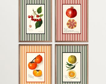 Vintage Fruit Wall Art Set – Colorful Kitchen Print Set of 4, Striped Botanical Fruit Posters, Retro Gallery Wall Decor