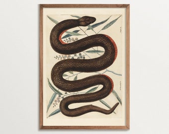 Arte mural de serpientes, decoración estilo academia oscura, decoración de reptiles