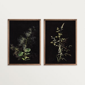 Dark Botanical Print Set of two Prints | Moody Floral Print, Dark Academia Decor, Black Botanical Wall Art