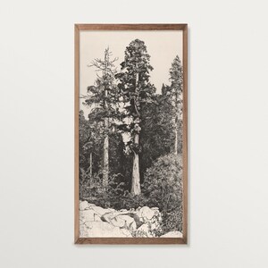 Stampa artistica di schizzo di albero vintage, arte murale panoramica, arredamento cottagecore, incisione rustica di alberi, arredamento per la casa ispirato alla natura