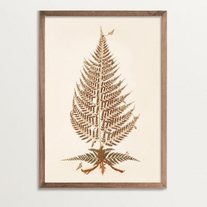 Impression fougère botanique ancienne n°07, affiche d'art fleurs pressées, décoration cottagecore, art mural vintage, décoration d'intérieur inspirée de la nature