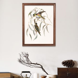 May include: A framed print of a watercolor painting depicting two birds perched on a branch of a tree with white flowers. The birds are green, yellow, and brown with a pink accent on one of the birds.