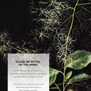 May include: Close-up detail of a botanical print featuring a green plant with delicate leaves against a black background. The text reads "Close Up Detail of the Print". Details like blur, texture or grain are part of the design as these prints are digital reproductions of vintage art pieces. All artworks are carefully retouched and enhanced while retaining their unique character. Actual colours may vary slightly as each monitor displays colours differently.