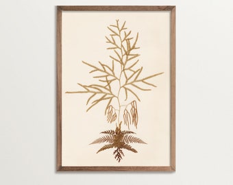 Fern Art Print No. 05 | Vintage Botanical Art, Pressed Flower Art Poster, Cottagecore Decor