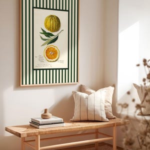 Framed vintage orange illustration with green stripes on the wall above a woven bench and stacked books. Soft morning light highlights the citrus art's freshness and retro charm.