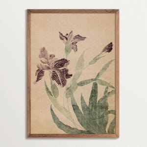 Japandi Flower Wall Art – Vintage Iris Botanical Print, Chinoiserie Floral Poster, Elegant Minimalist Home Decor