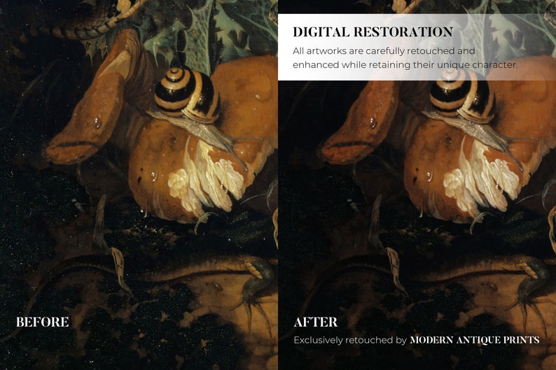Puede incluir: Antes y despu&eacute;s de la restauraci&oacute;n digital de una pintura de un caracol en un hongo. El proceso de restauraci&oacute;n ha eliminado la suciedad y los ara&ntilde;azos de la pintura, revelando los detalles y colores originales.