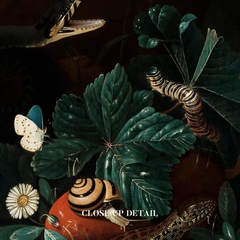 Puede incluir: Un primer plano de un bodeg&oacute;n que presenta una hoja verde, un caracol, una oruga y una mariposa. El caracol es marr&oacute;n y amarillo con rayas negras. La oruga es negra y blanca con rayas amarillas. La mariposa es azul y blanca. El fondo es oscuro.