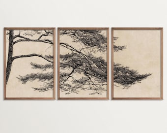 Vintage Pine Tree Etching Print Set of 3 Wall Art, Wabi Sabi Triptych Wall Art, Japandi Pine Tree Branch Print, Nature Decor for Living Room