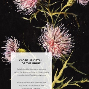 Dark Academia Decor Set of Two Prints Study of Florals Moody Botanical ...