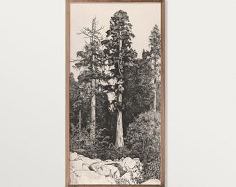 Vintage Tree Sketch Art Print, Panoramic Wall Art, Cottagecore Decor, Rustic Tree Etching, Nature-Inspired Home Decor
