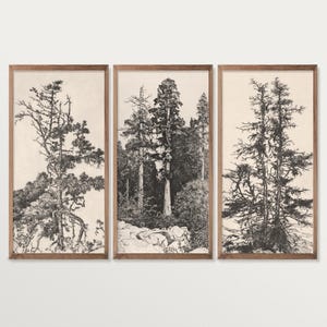Set di 3 stampe da parete con schizzi di alberi vintage, trittico da parete, decorazioni in stile cottagecore, incisioni rustiche di alberi, decorazioni per la casa ispirate alla natura