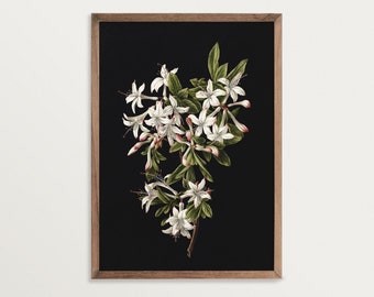 Dark Botanical Print - Azaleas in Bloom | Atmospheric Floral Print, Dark Academia Decor, Black Botanical Wall Art