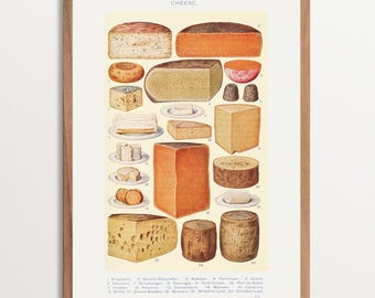 Vintage Cheese Chart Print– France Cottage Decor | Kitchen Wall Art, Culinary Food Art, Antique Cheese Diagram, Farmhouse Kitchen Decor