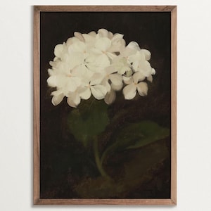 Hortensien Druck - Antike botanische Wandkunst, Academia Dekor