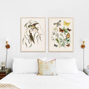 May include: Two framed botanical prints, one featuring a pair of birds perched on a branch with green leaves, the other featuring a variety of butterflies and flowers on a white background.